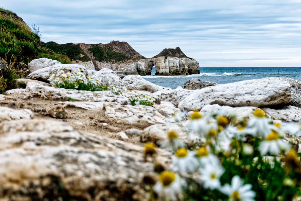 Thornwick Bay, Flamborough